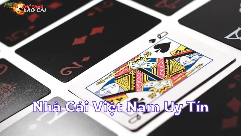 Khám Phá Các Nhà Cái Việt Nam Uy Tín