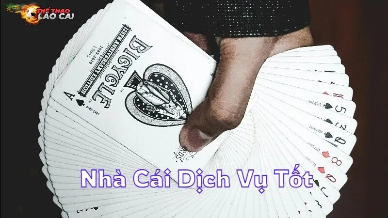 Nhà Cái Dịch Vụ Tốt Và Hỗ Trợ Tận Tâm